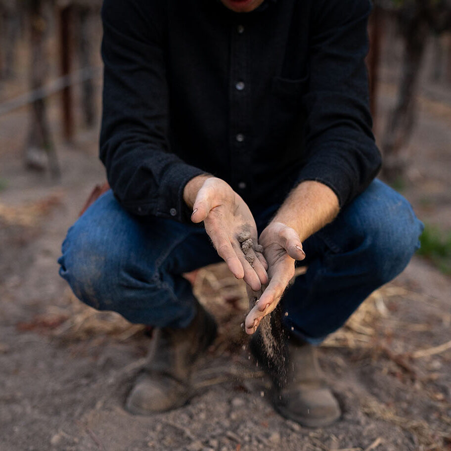 Grigsby Vineyard Tom Sherwood investigating soil at grigsby vineyard in Napa Valley